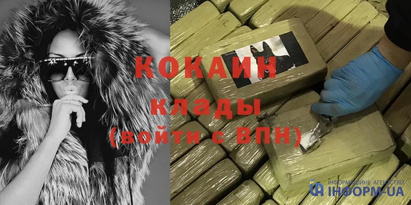 гашик Мегион