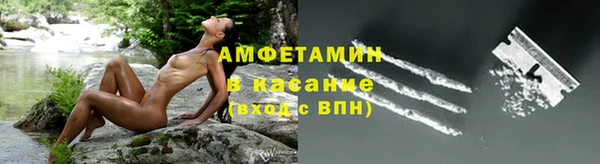 гашик Мегион