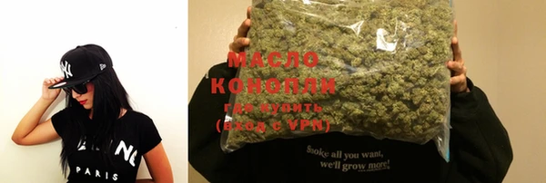 гашик Мегион