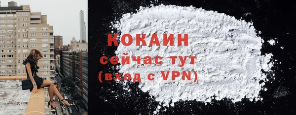 гашик Мегион