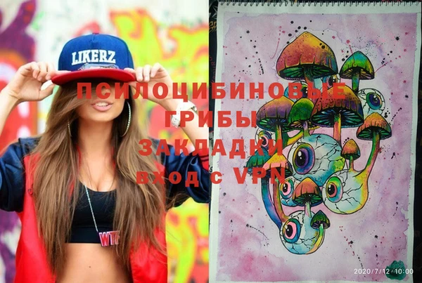 гашик Мегион