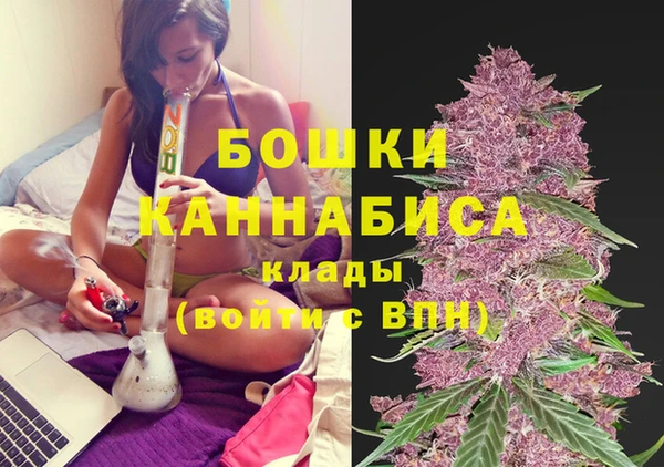 ешки Медногорск