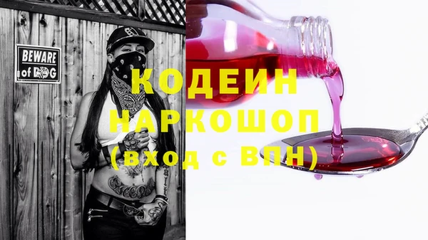 гашик Мегион