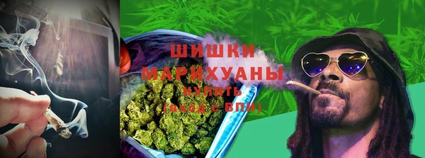 гашик Мегион