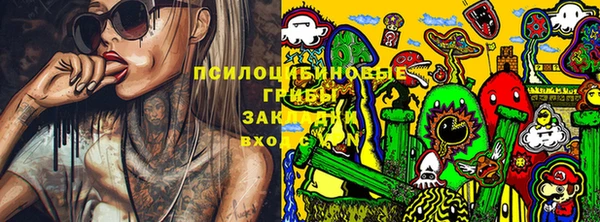 ешки Медногорск